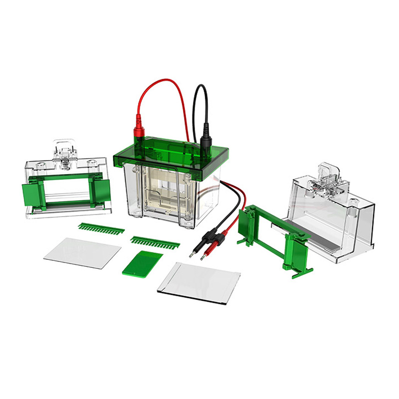 BK-VET01 Vertical Electrophoresis Tank