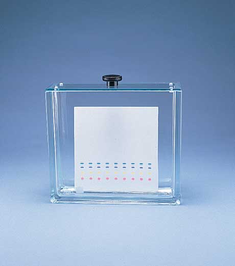 TLC developing tanks, with knobbed lid, 20x20cm, grooved to hold five plates at once. Isolab Germany